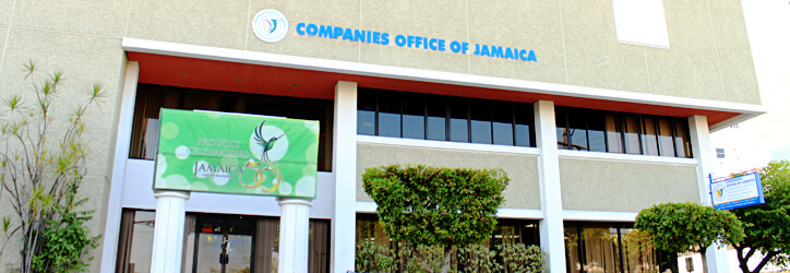 research companies jamaica